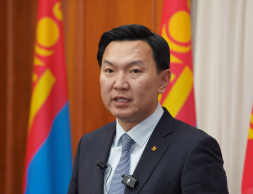 Н.Учрал: Хууль тотоох дээд байгууллагаас хулгайн сэжигтнүүд биш хууль төрж байх ёстой